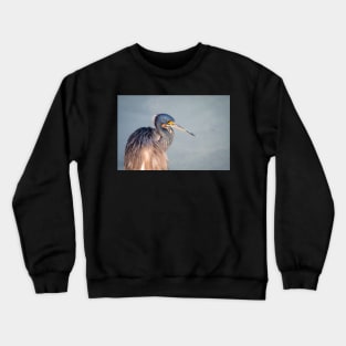 Tri-colored Heron Portrait in Morning Light Crewneck Sweatshirt